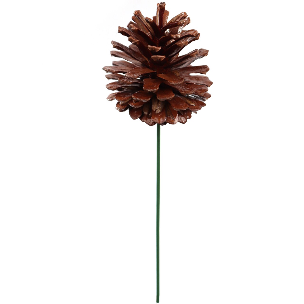 Set of 12: Natural Brown Lacquered Pine Cone Picks